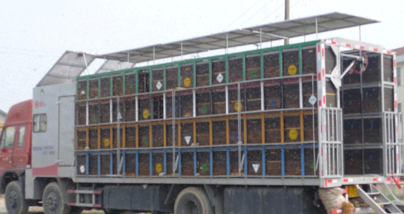 養(yǎng)蜂車可升降頂棚